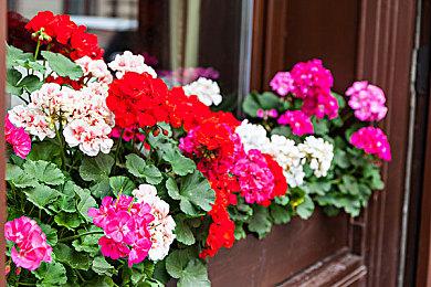 国产侦探解谜冒险游戏《蛛丝诡迹》发售日公开